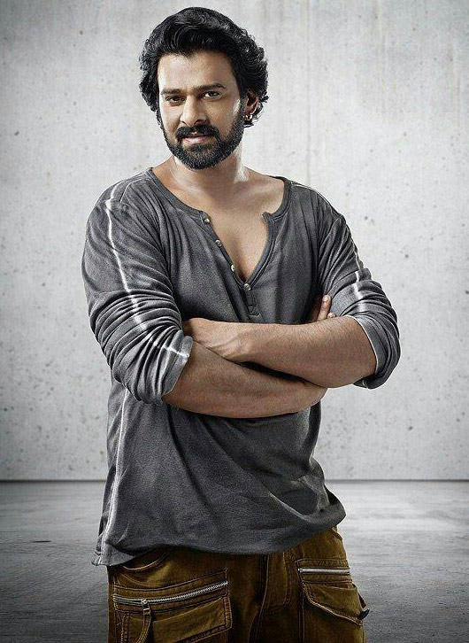 prabhas,sujith director,30 crores fight,prabhas doop,young rebel star  ప్రభాస్ రూ.30 కోట్ల ఫైట్ పై విమర్శలు! 